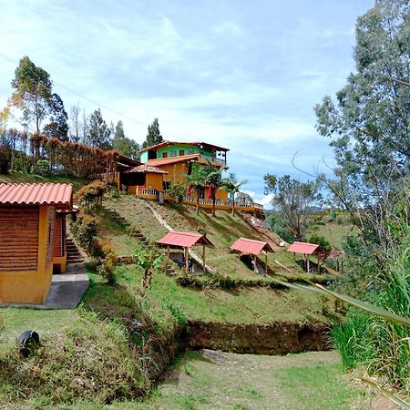 Vista Hermosa Eco Hostal Carmen de Viboral Dış mekan fotoğraf
