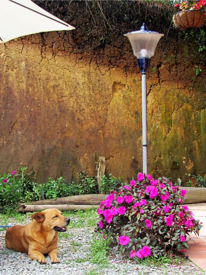 Vista Hermosa Eco Hostal Carmen de Viboral Dış mekan fotoğraf