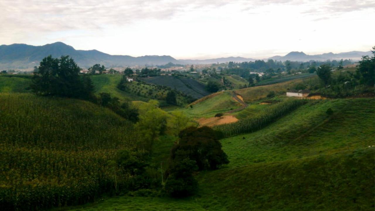 Vista Hermosa Eco Hostal Carmen de Viboral Dış mekan fotoğraf