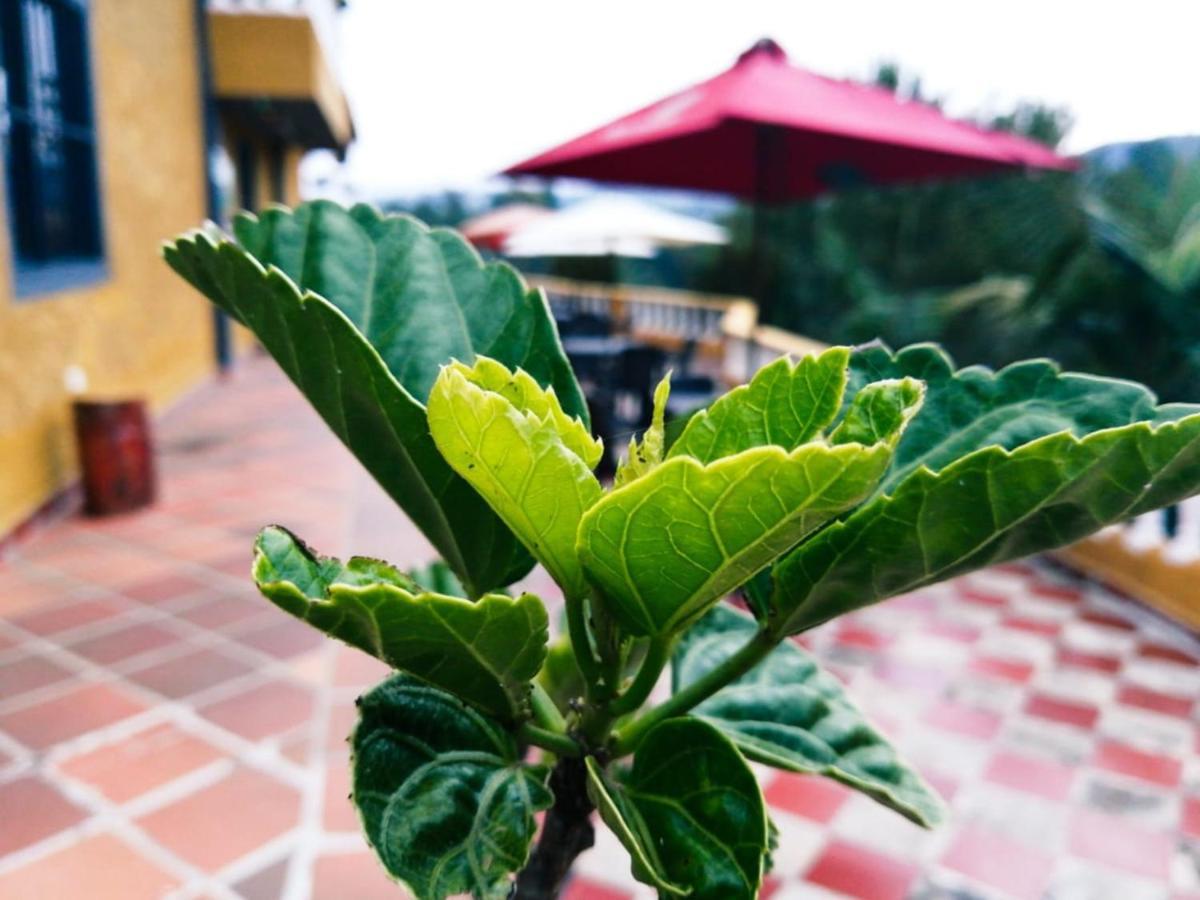 Vista Hermosa Eco Hostal Carmen de Viboral Dış mekan fotoğraf