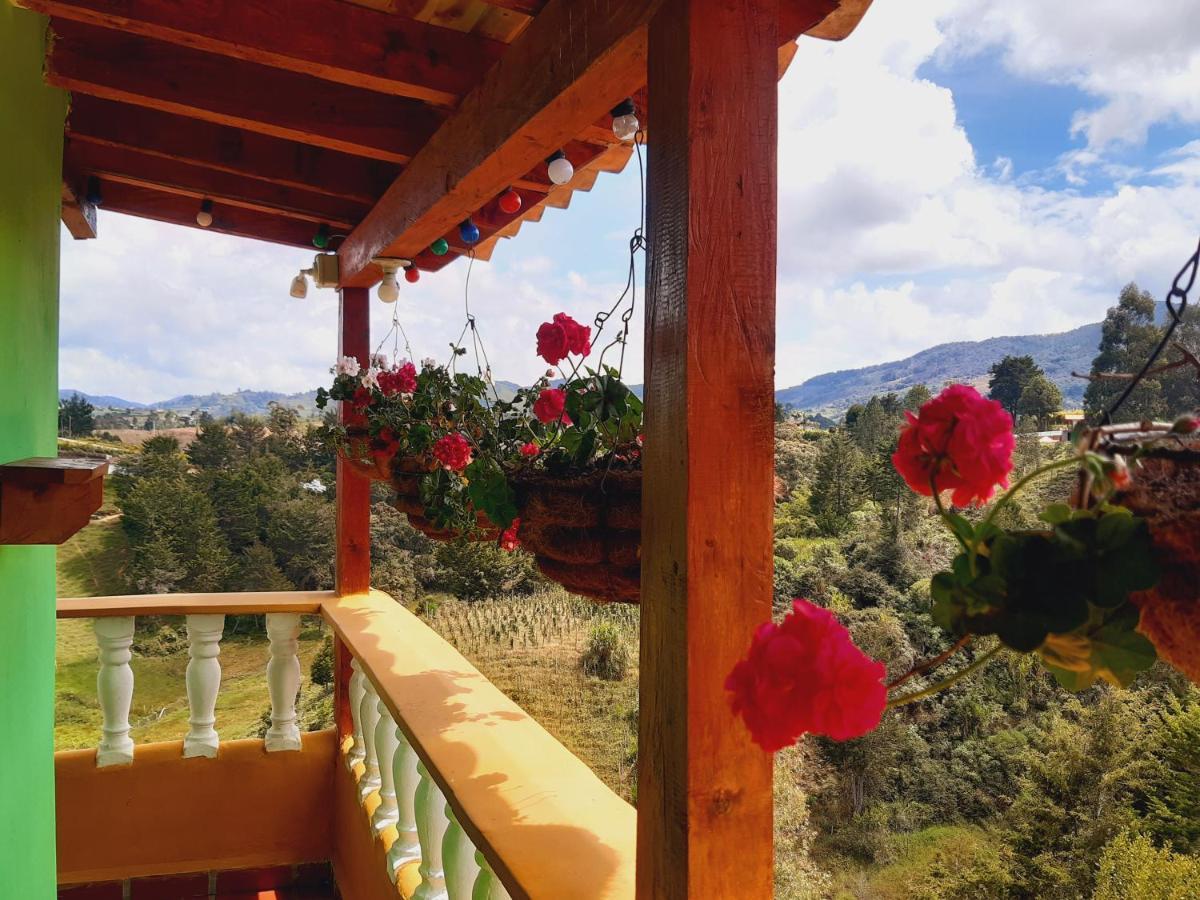 Vista Hermosa Eco Hostal Carmen de Viboral Dış mekan fotoğraf