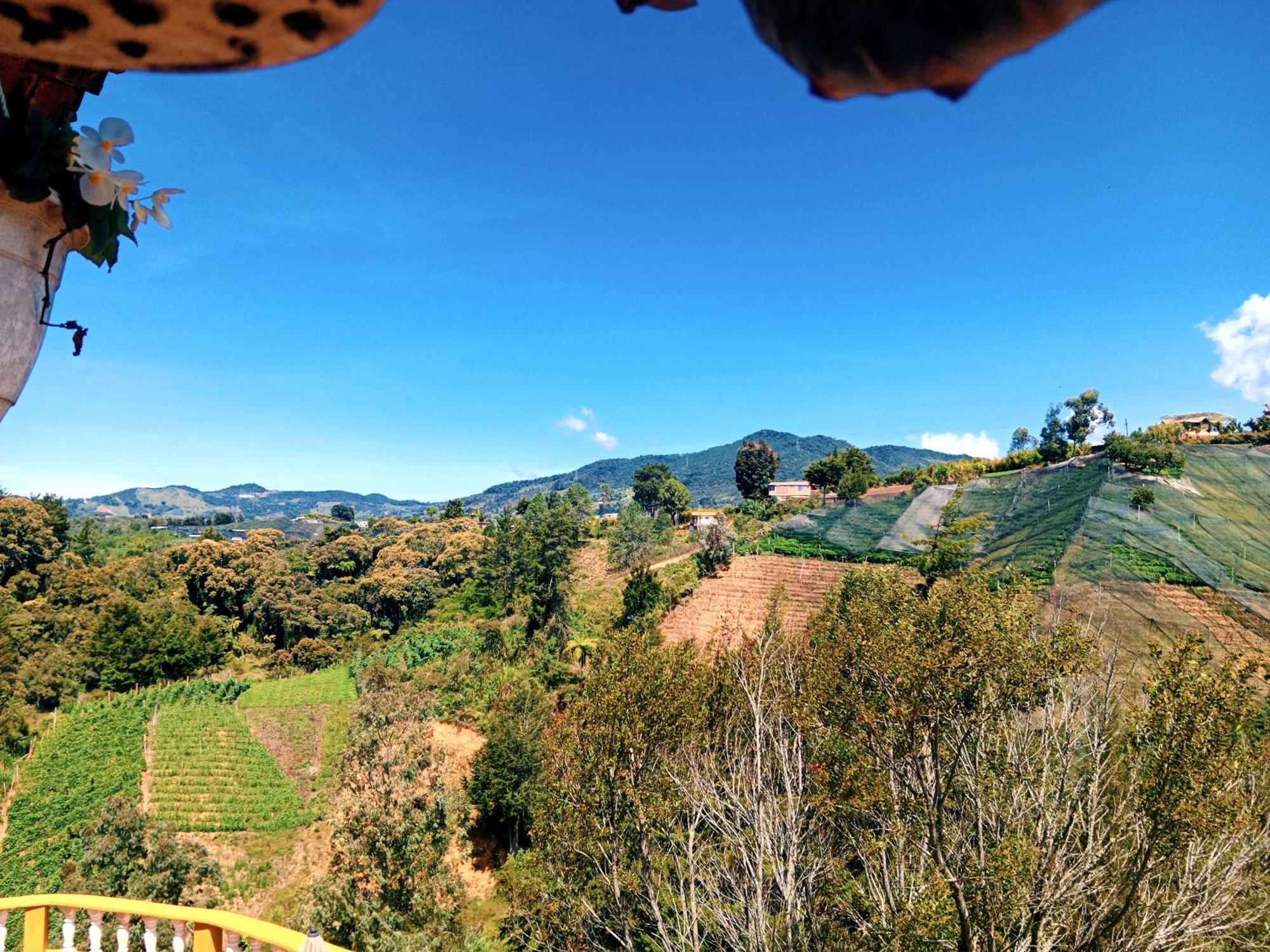 Vista Hermosa Eco Hostal Carmen de Viboral Dış mekan fotoğraf
