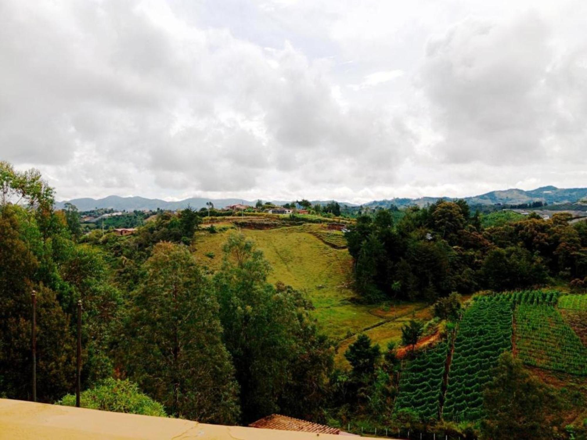 Vista Hermosa Eco Hostal Carmen de Viboral Oda fotoğraf